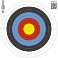 Мишень FITA 40 cм 10-1 дистанция 18 метров